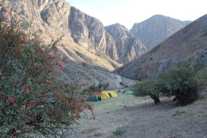 КАРСТ ХРЕБТОВ ТАКТА-БОЗ и БЕЛИ-СЫНЫК, 2020-2021